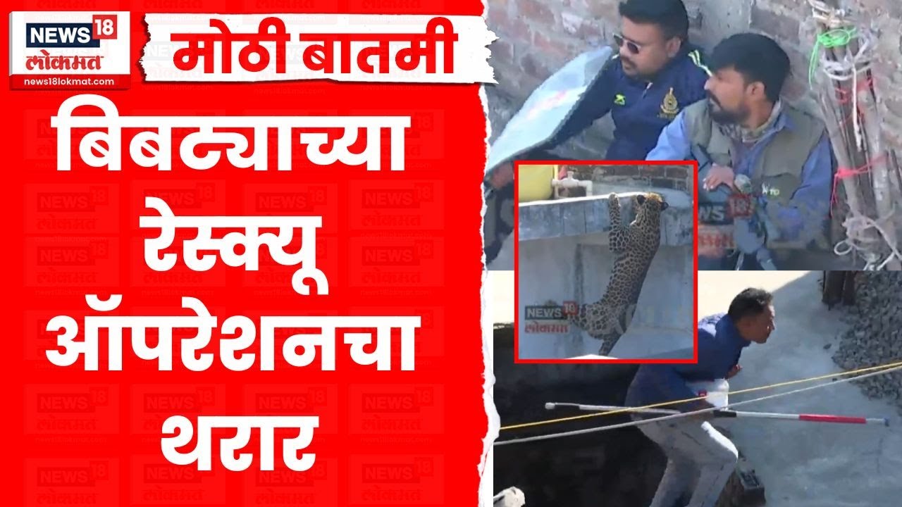 Nagpur Leopard News Today | पारडी शिवारामध्ये बिबट्या, पाहा रेस्क्यू ऑपरेशनचा थरार | Marathi News