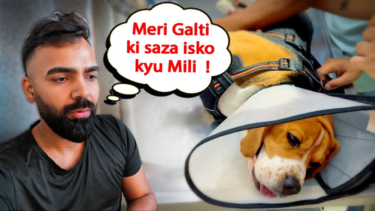 Gucci ki is Halat ka Zimmedar Main hi hun.. I want to Confess