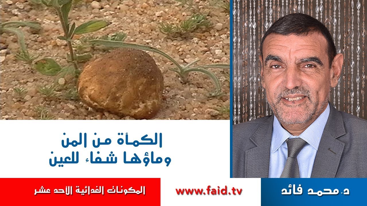 الكمأة من المن وماؤها شفاء للعين | الدكتور محمد فائد