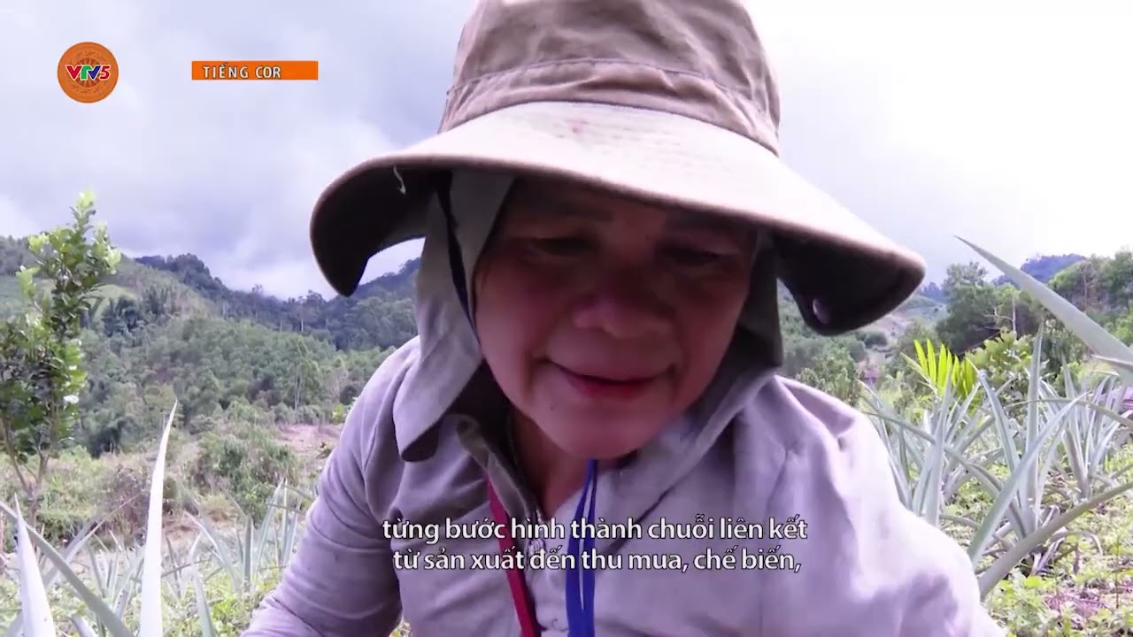 [TIẾNG COR] MỞ HƯỚNG PHÁT TRIỂN KINH TẾ CHO ĐỒNG BÀO MIỀN NÚI | VTV5