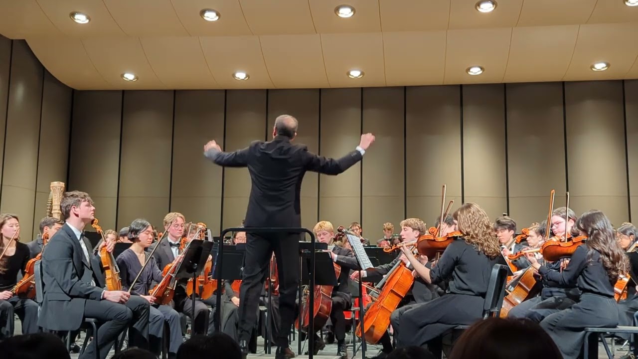 Symphony No.1 in D (