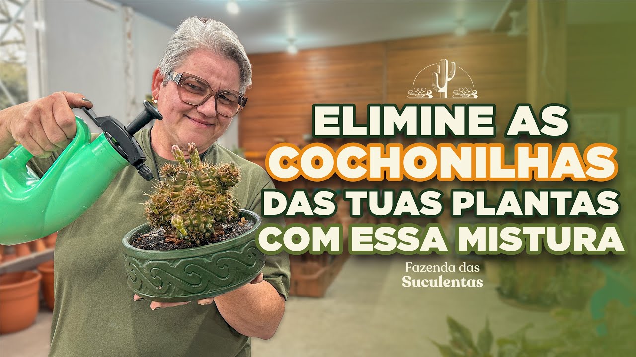 ELIMINE as COCHONILHAS das tuas PLANTAS!