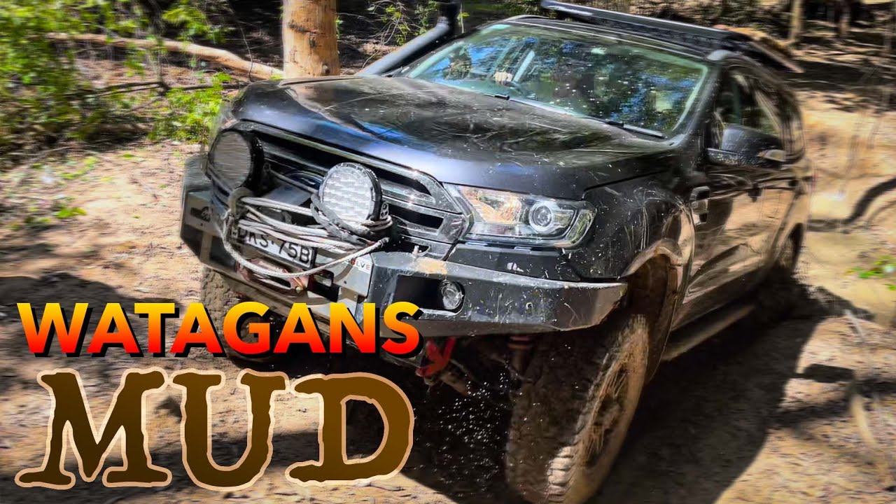 WATAGANS MUD: Offroad in the Ford Everest 4WD and Landcruiser 200