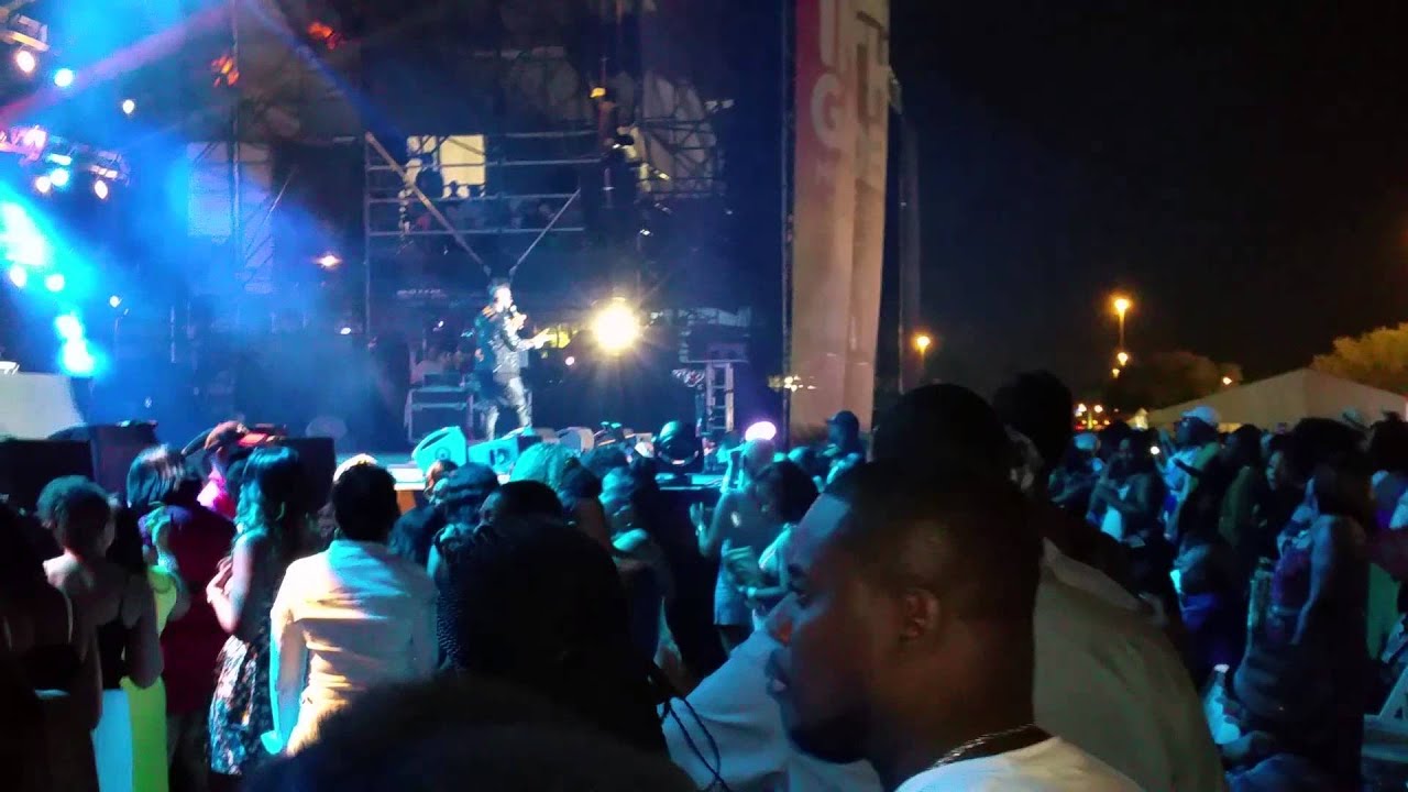 Jazz in the gardens 2015 R kelly wine for me