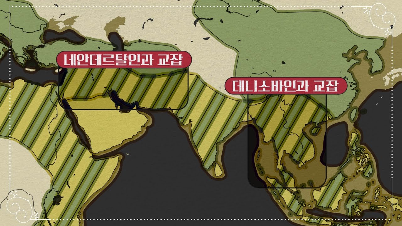 [통합본] 20분 만에 정리하는 700만 년 인류사 | 코리안 오디세이 PART 1