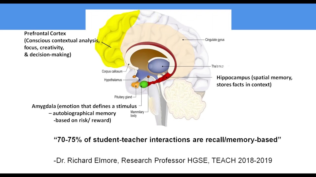 Asking better questions: The key to deeper, more engaged, more authentic science