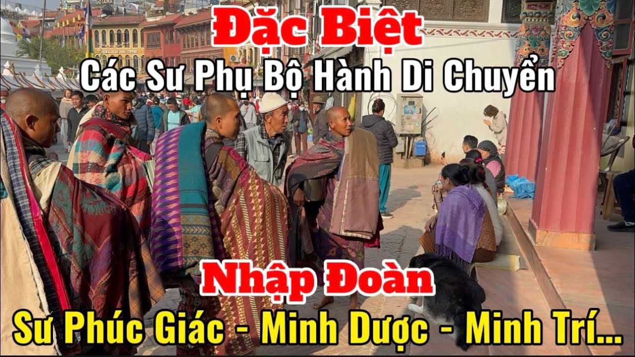 Tốp Sư Ph&uacute;c Gi&aacute;c - Minh Tr&iacute; - Minh Dược Nhập Đo&agrave;n | Thầy Minh Tuệ & C&aacute;c Sư Phụ Bộ H&agrave;nh Di Chuyển