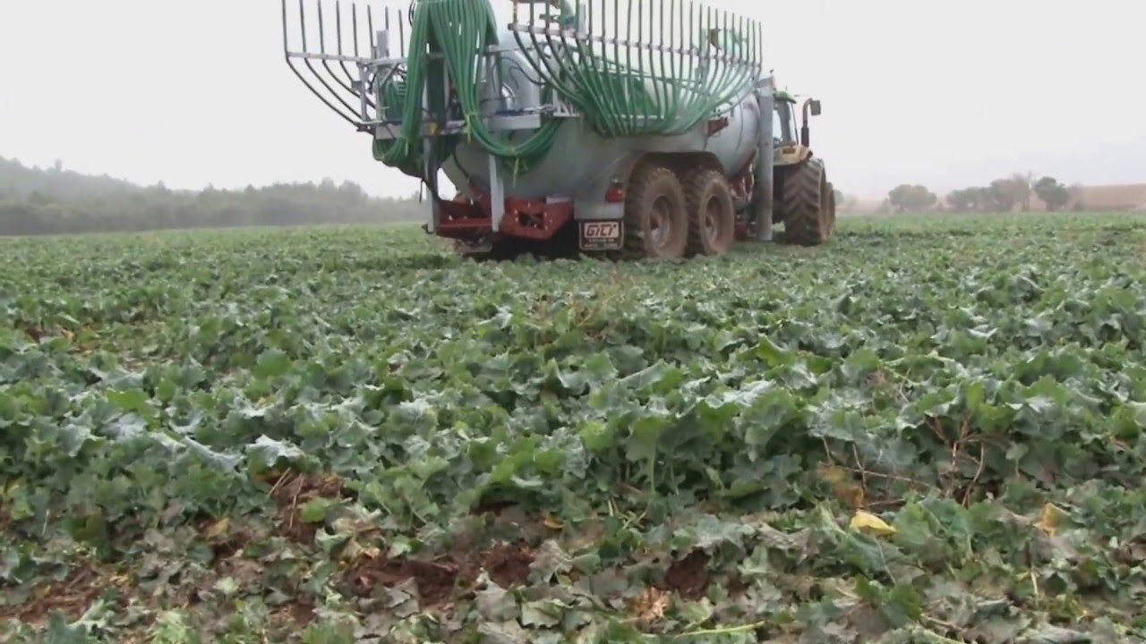Rampa de tubos/ Rampes &agrave; pendillards/ Line spreading boom
