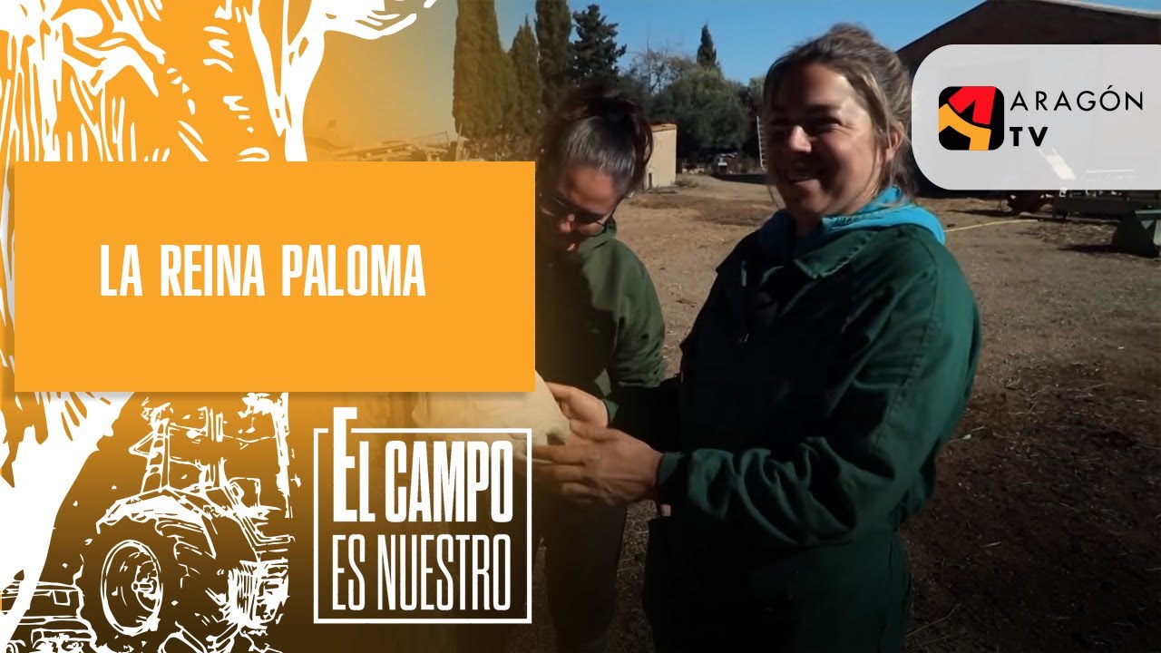 Paloma, la reina del rebaño