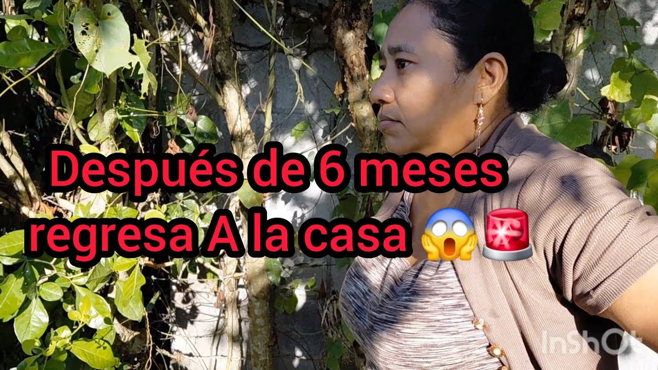 Urgente 🚨 después de 5 meses de irse de la casa aparece con hijos 😱