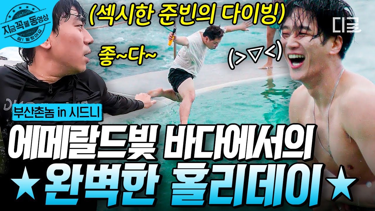 [#부산촌놈in시드니] 시드니 해변에 뜬 수알못 준빈인어! 다이빙부터 스노클링까지 못하는 게 없어(?) 홀리데이를 완벽하게 즐기는 부산즈🌊 | #지금꼭볼동영상