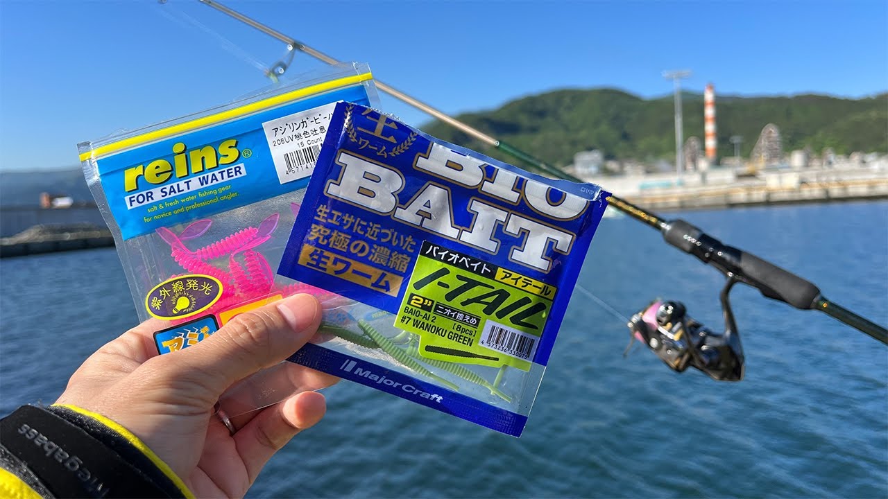 日中だけのライトゲームをしたら何が釣れる？