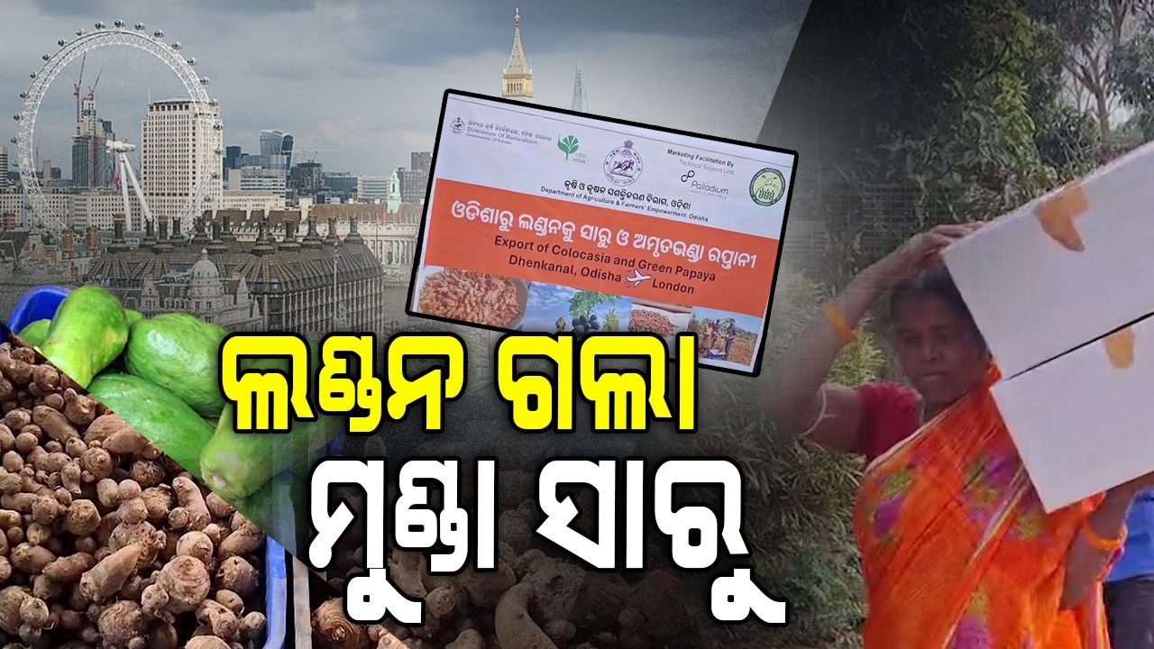 ଲଣ୍ଡନ ଗଲା ମୁଣ୍ଡା ସାରୁ || Dhenkanal || Argus Digital