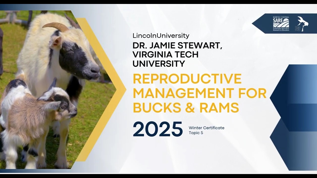 Topic 5 Dec 15, 2025. Advanced Reproductive Management for Bucks and Rams