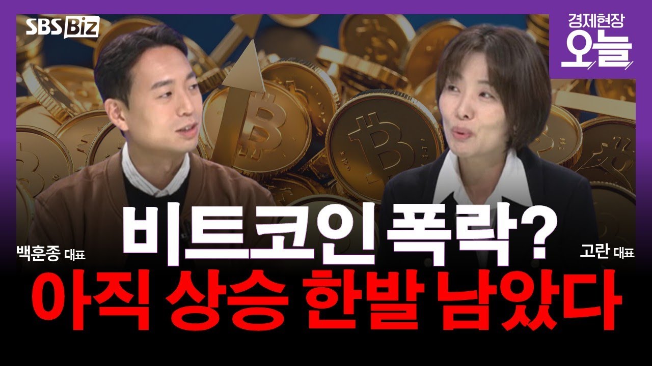 [집중진단] 비트코인 강세장 비관론 재점화, 왜?