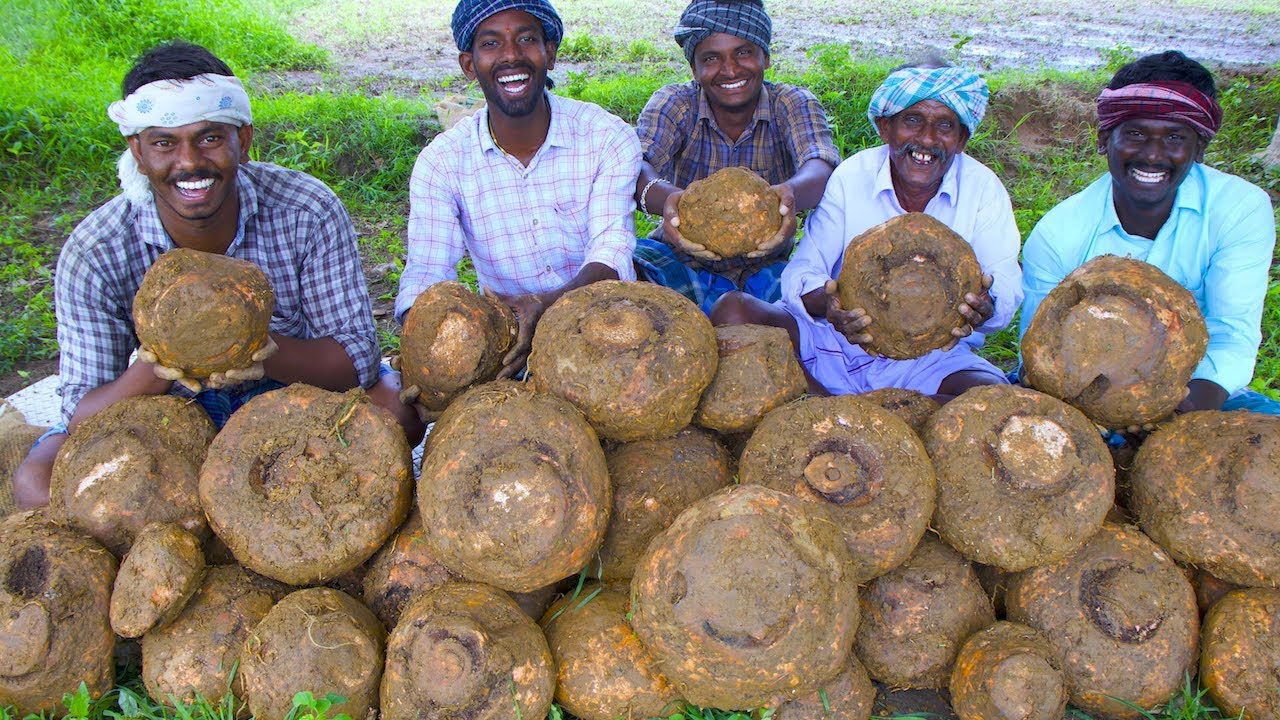 ELEPHANT FOOT YAM Cooking | Elephant Foot Yam Fry and Gravy With Mutton Meat | Village Cooking