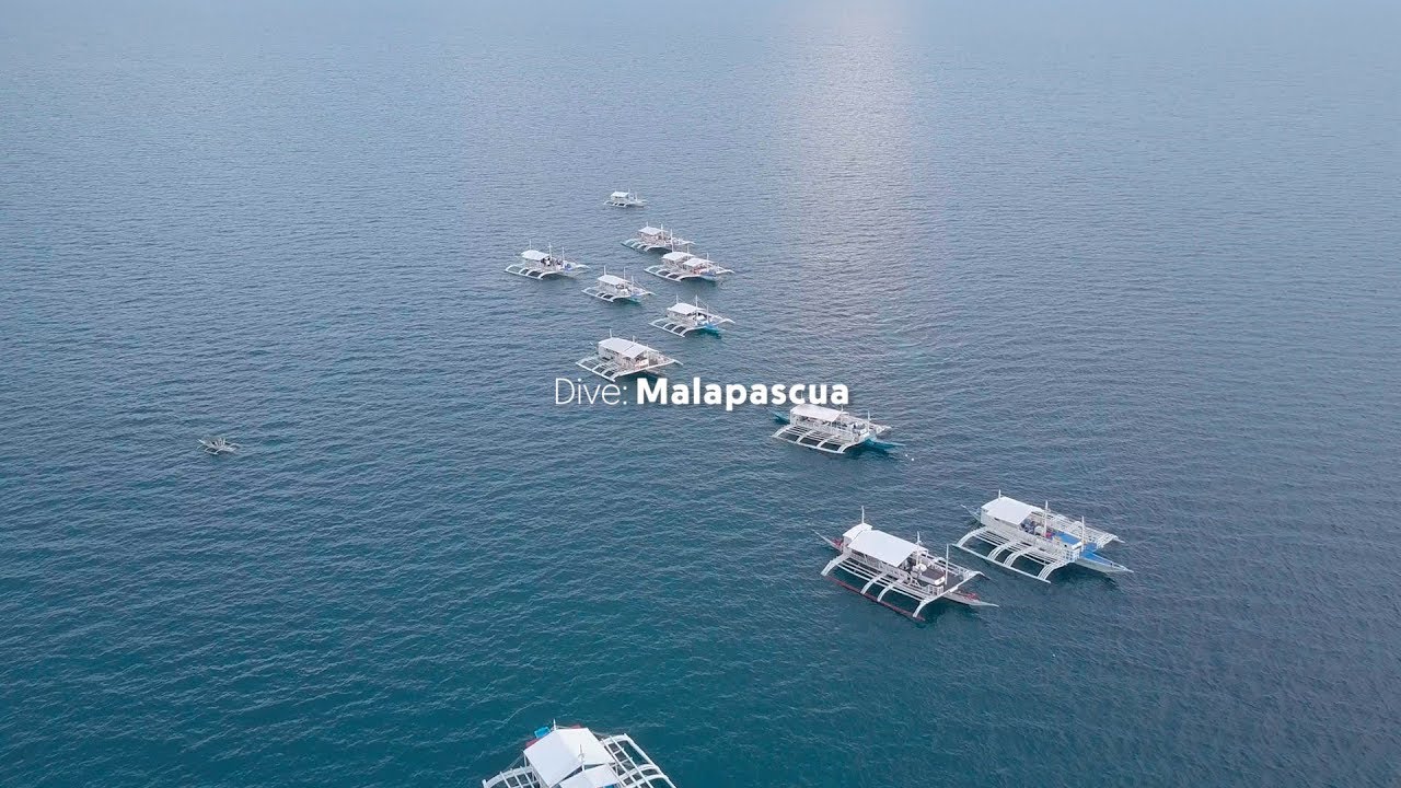 Dive: Malapascua