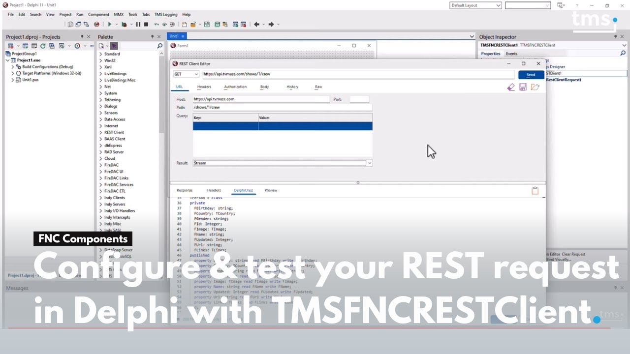 Configure & test your REST request in Delphi with TMSFNCRESTClient.