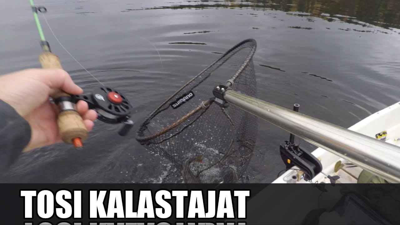 Suurahvenen venepilkintää