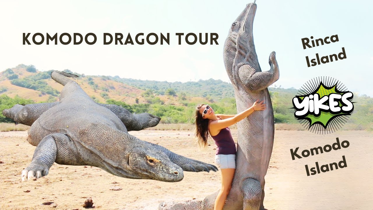 Komodo Dragon Tour | Rinca and Komodo Island