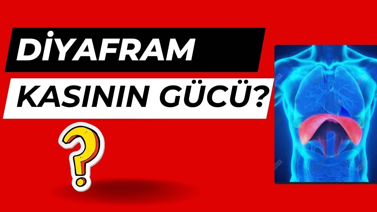 Diyafram kası,  Sağlık, Prof.Dr.Serdar Akg&uuml;n,