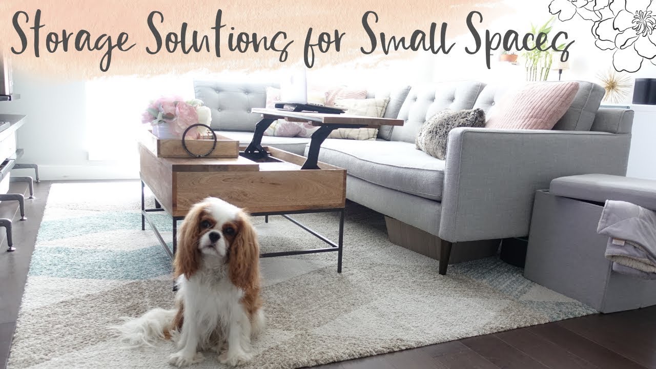 Storage Solutions for Small Spaces