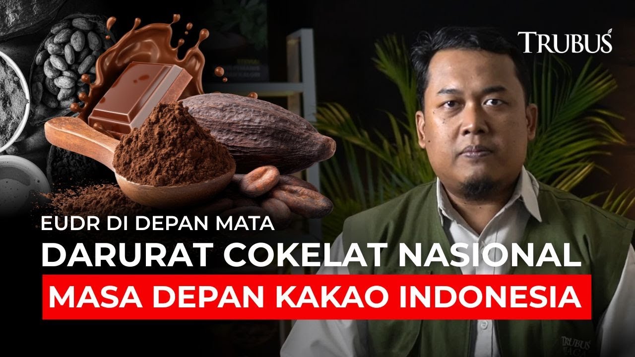 Darurat Cokelat Nasional: EUDR dan Masa Depan Kakao Indonesia