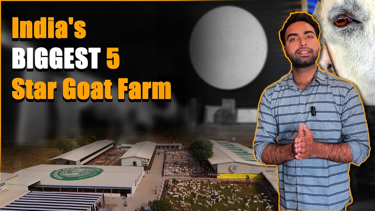 करोड़ों की कीमत वाला बकरी फार्म @BhartiyaKisaan_bk | Goat Farming Kaise Kare? | Biggest Goat Farm