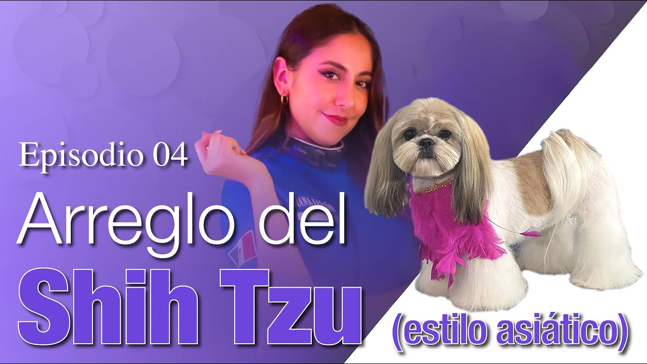 Arreglo de un SHIH TZU por Diana Falcón  | Maestros del Grooming | Episodio 04