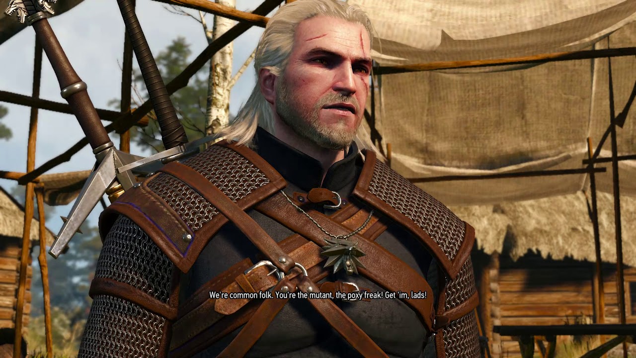 Geralt encounters 