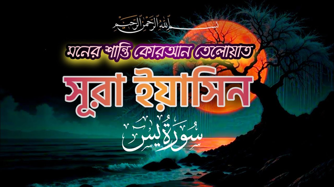 সূরা ইয়াসিন  | Surah Yasin Full HD | মনের প্রশান্তির জন্য সুন্দর তেলাওয়াত #SurahYasin #QuranTilawat
