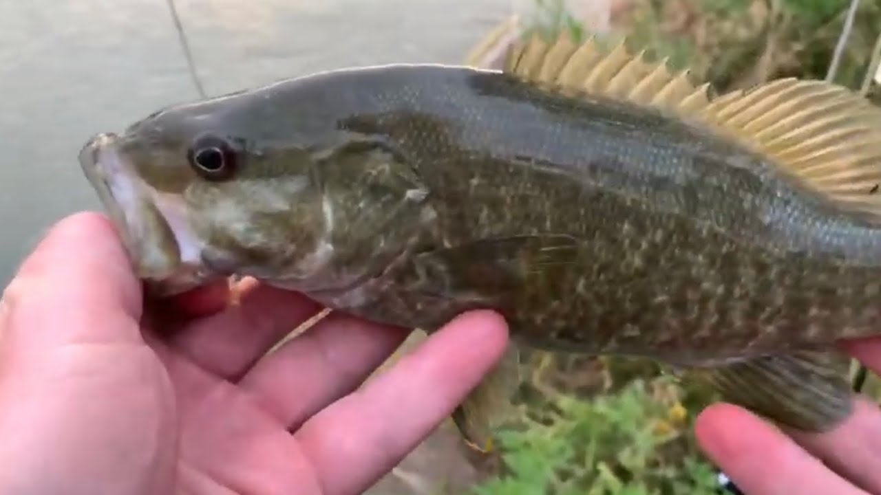 South Platte River North Platte, NE fishing