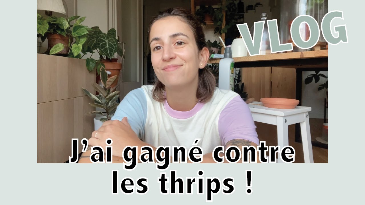 J'ai gagné contre les thrips : je vous raconte ce qui c'est vraiment passé ! | Vlog | Vertbobo