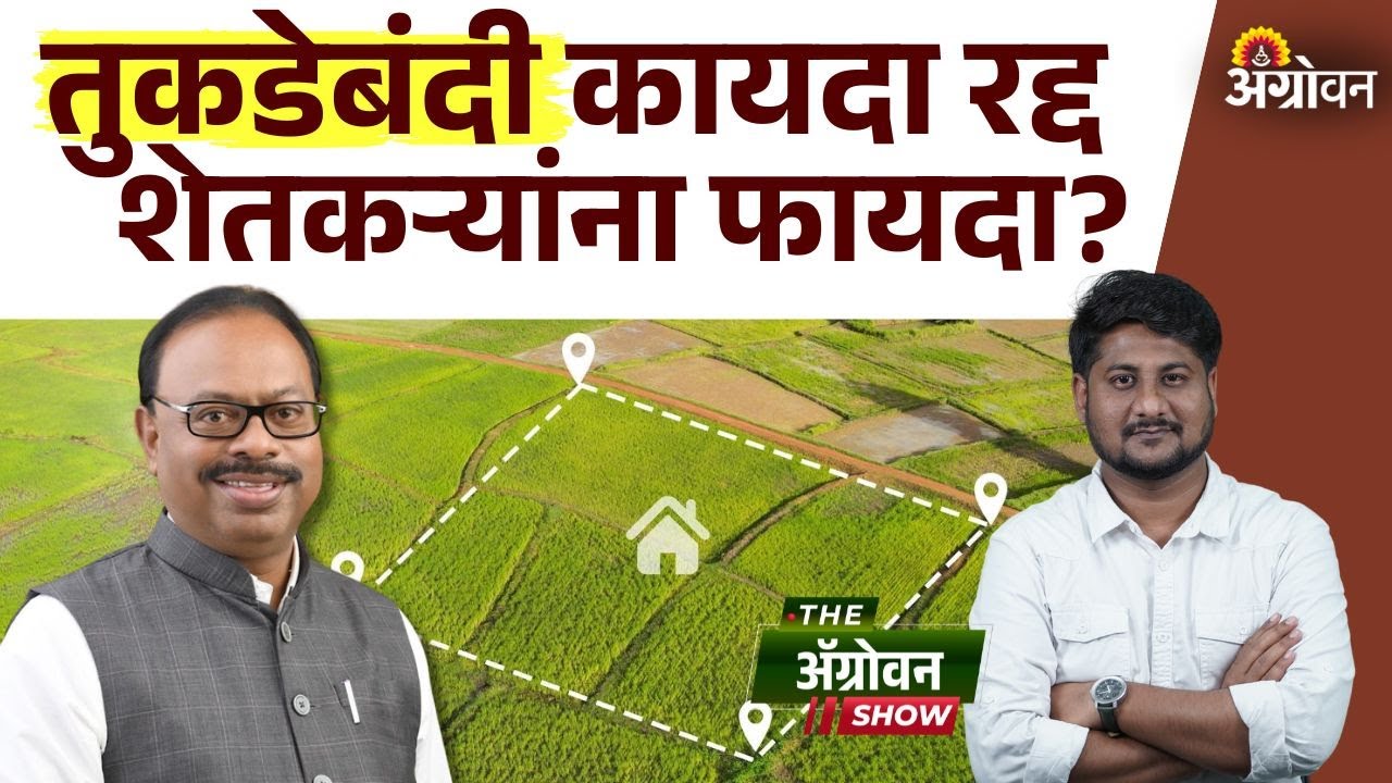 Tukdebandi Kayda : तुकडेबंदी कायदा रद्दची अंमलबजावणी कधीपासून करण्यात येणार? | Agrowon
