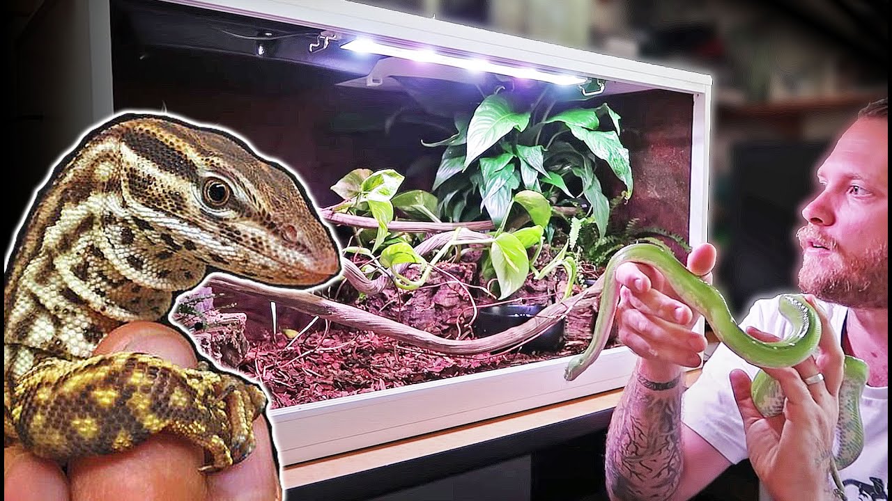 KEEPERS COLLECTIONS: Episode 2 - Beaches Scaly Beasts