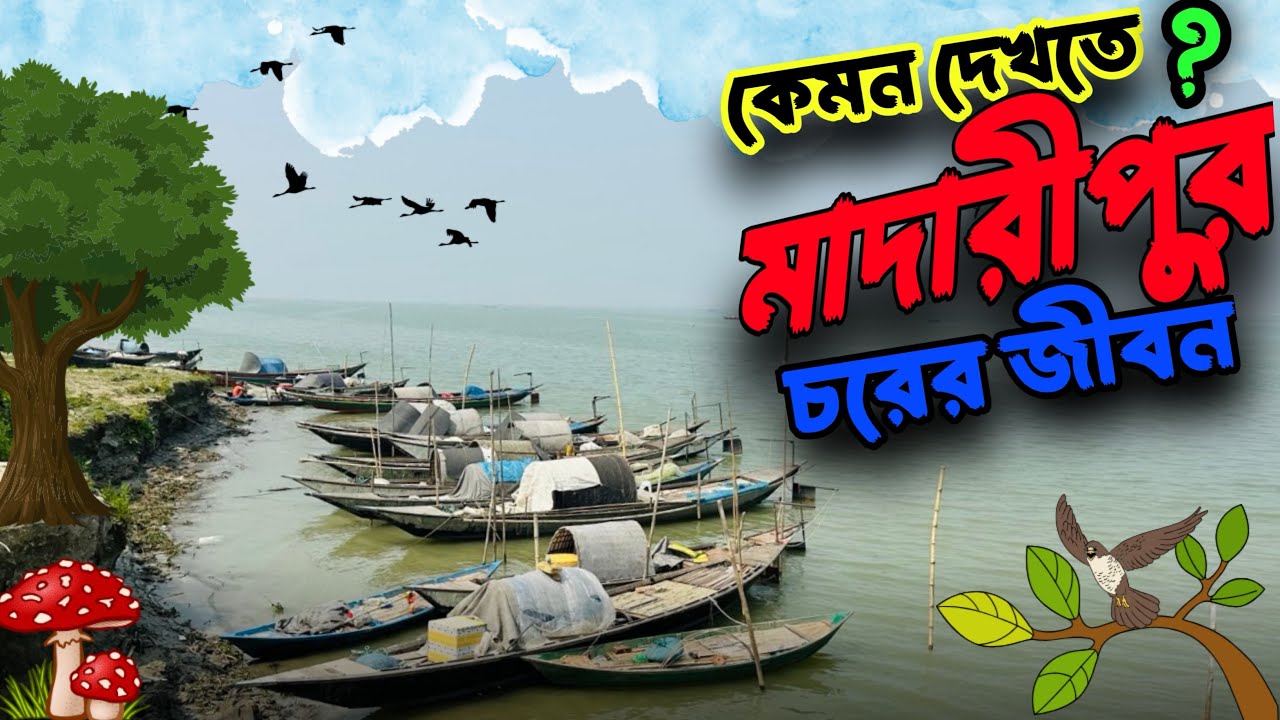 মাদারীপুর চর জীবন।মাদবরচর ও মোল্লারচর।Madaripur।Shibchor