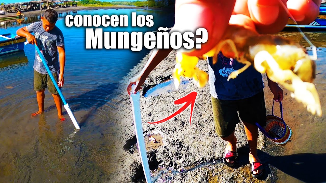 Conocen el Estero en Playa Barra Salada Sonsonate? Lugares poco conocidos en El Salvador