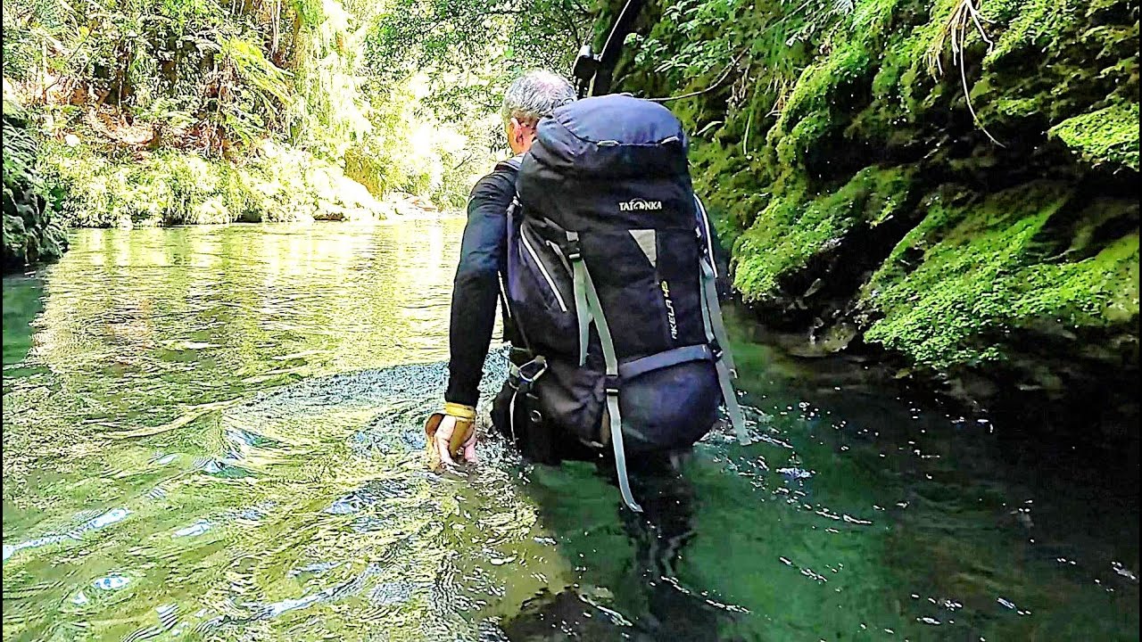 Chasing barking deer in the Urutawa