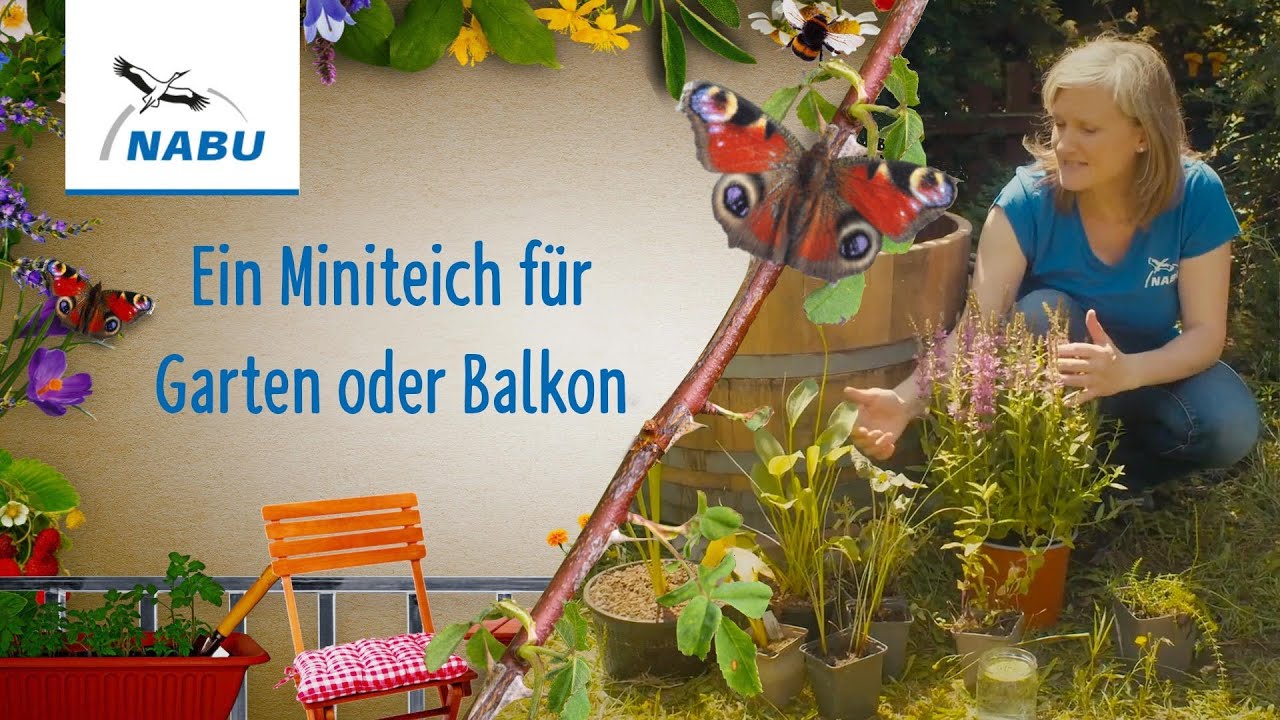 So legt ihr einen Miniteich für Garten oder Balkon an