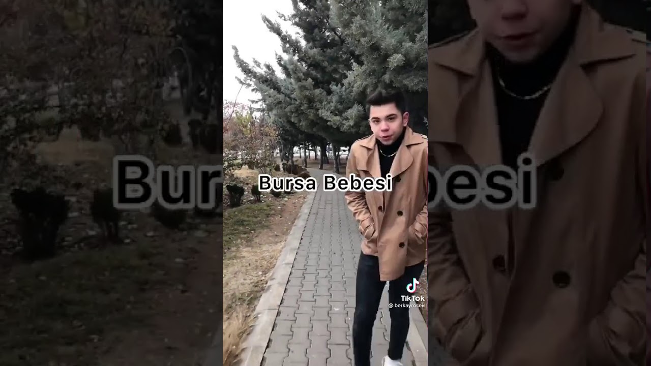 Ankara bebesi