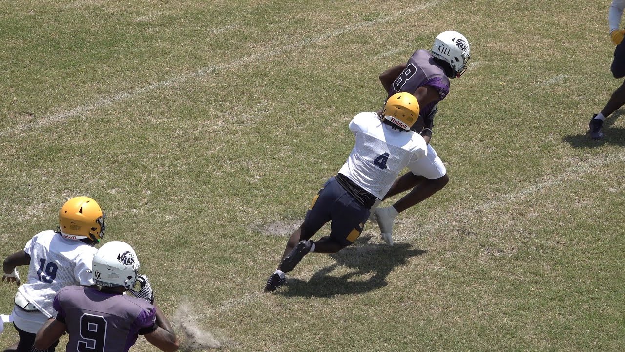 High lights 8 30 2025Warner U