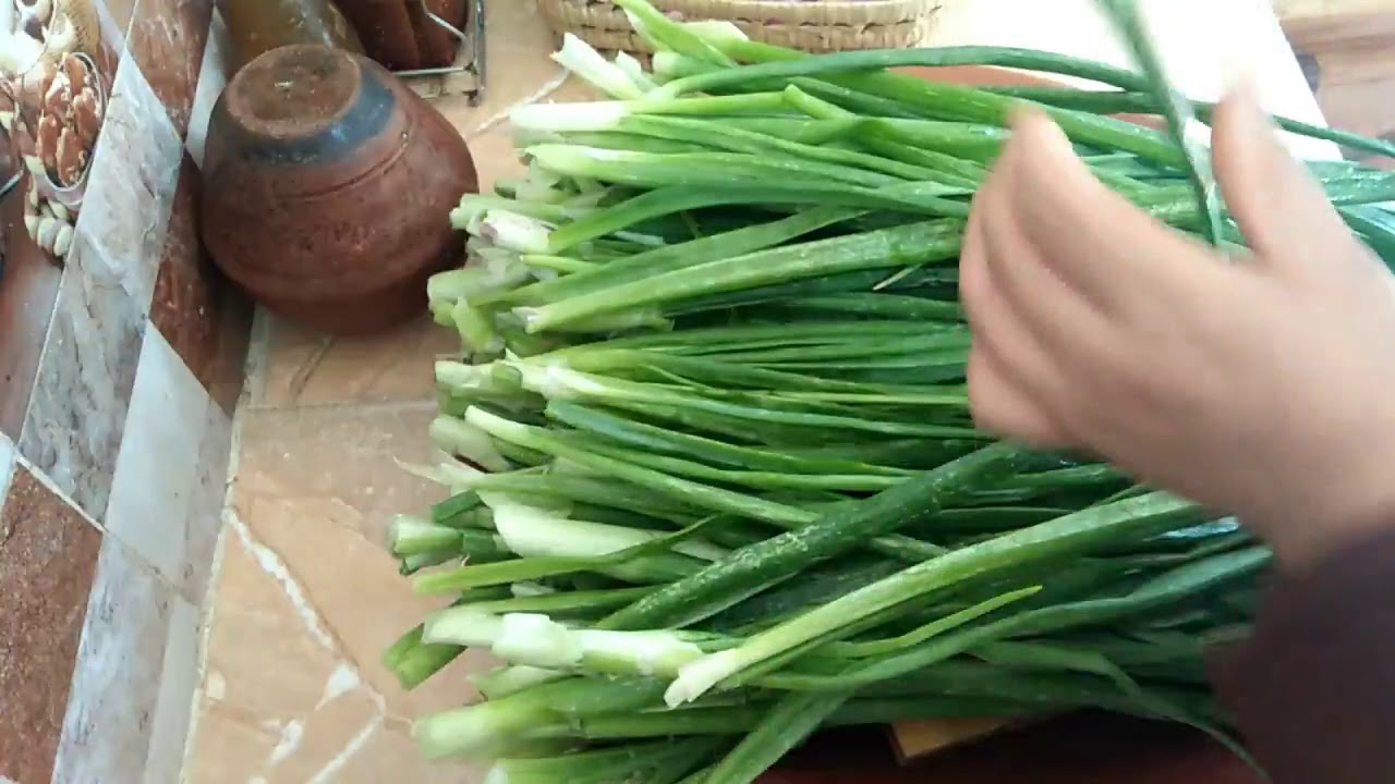 ما يوجد من خشاش الأرض في البادية وحضرنا لكم تجفيف البصل الأخضر والأحمر  في الفرن