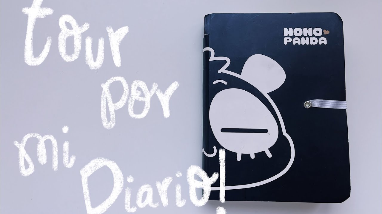 Escribiendo de mi vida pq se me olvida! ✨ // tour por mi diario 📓✨