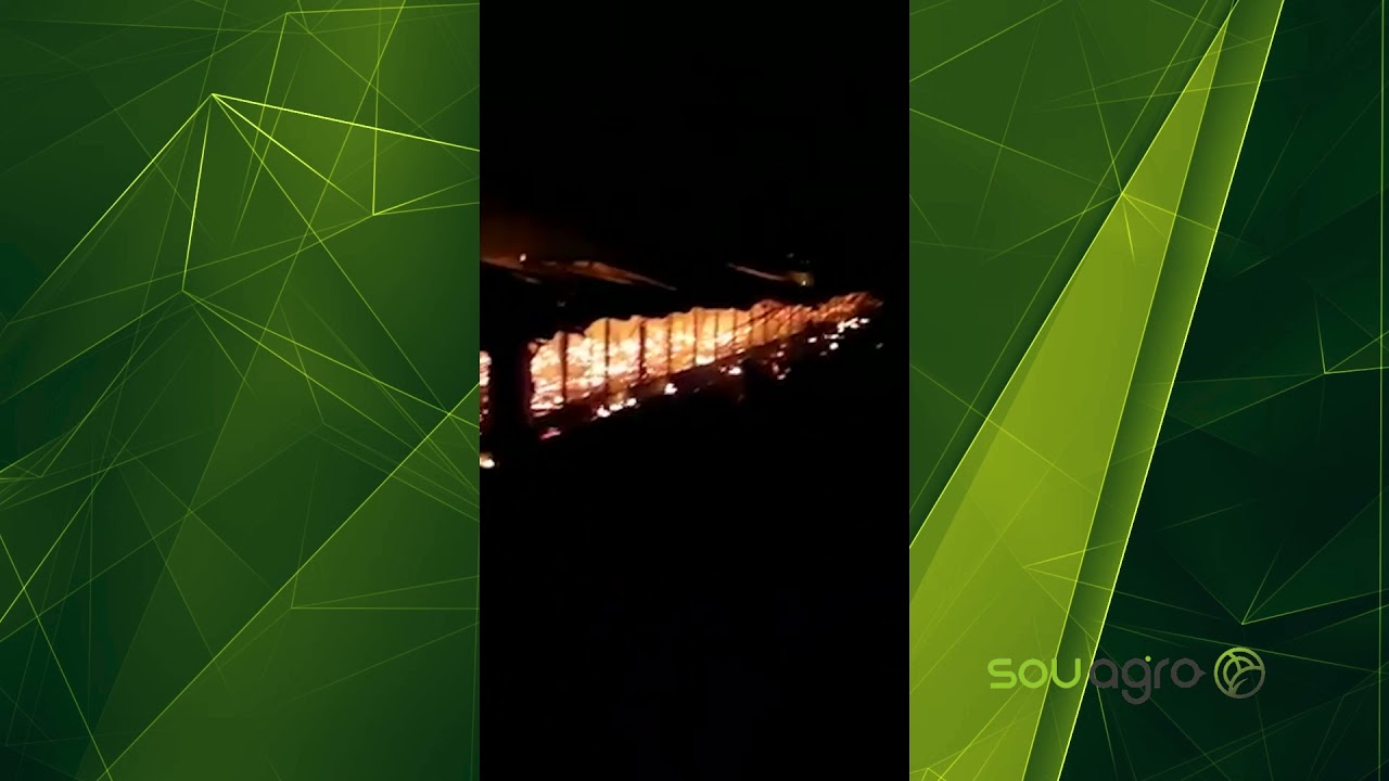 Mais de 20 mil frangos morrem em inc&ecirc;ndio no Paran&aacute;