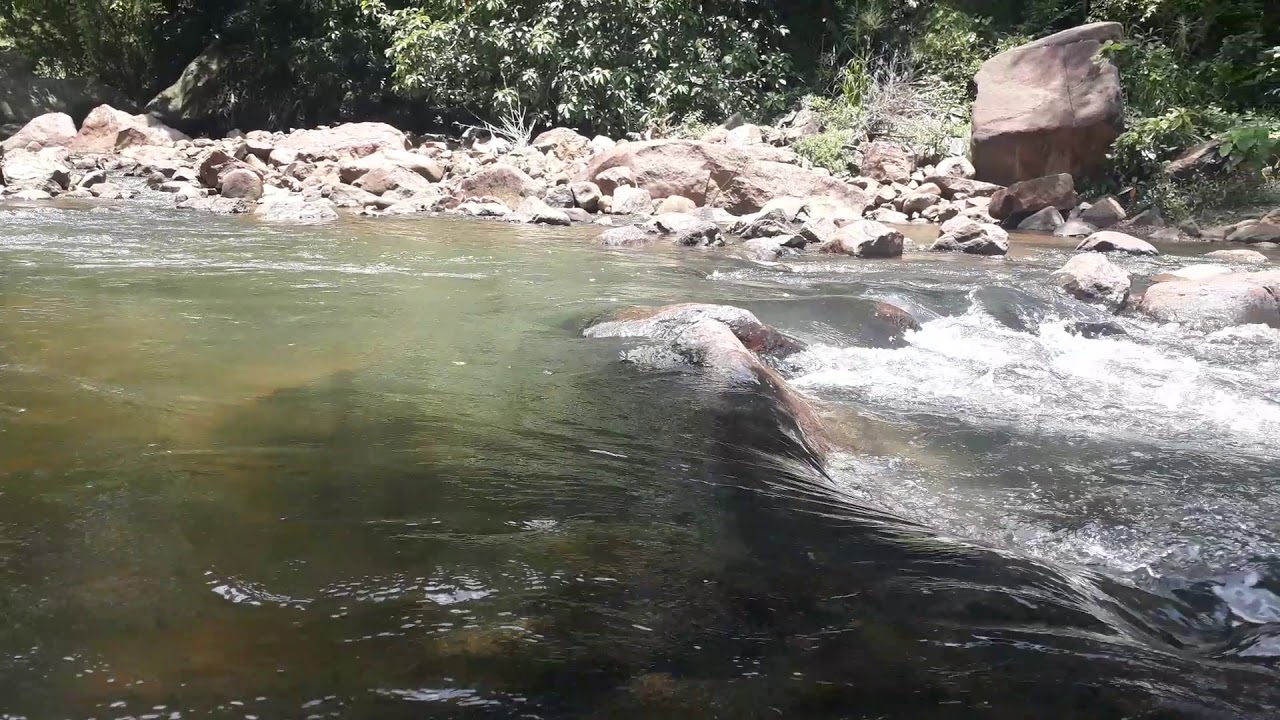 Diyakadura nature resort / Thummodara