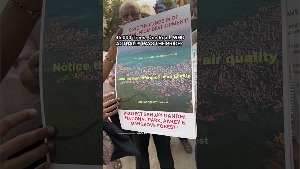 45,000 Mangroves vs. One Coastal Road &mdash; Is Mumbai Trading Its Air for a Faster Commute?