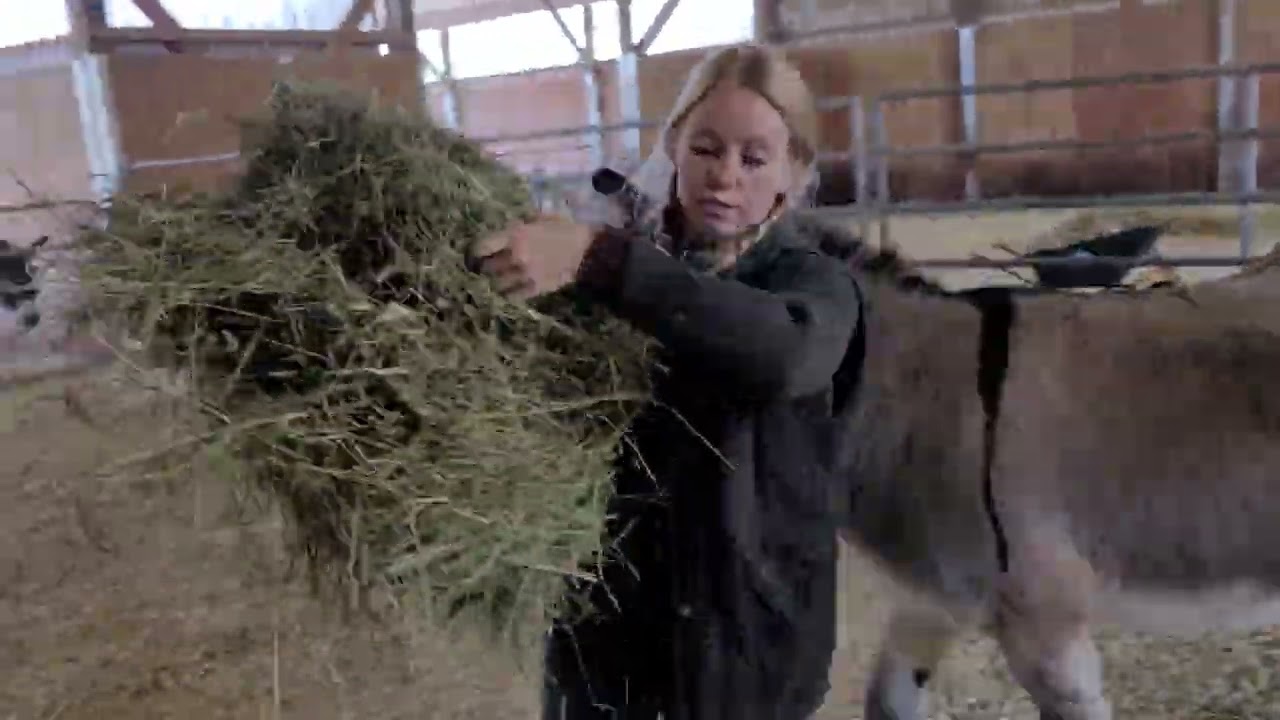 Rooster & Nic's weigh-in + hay lunch!