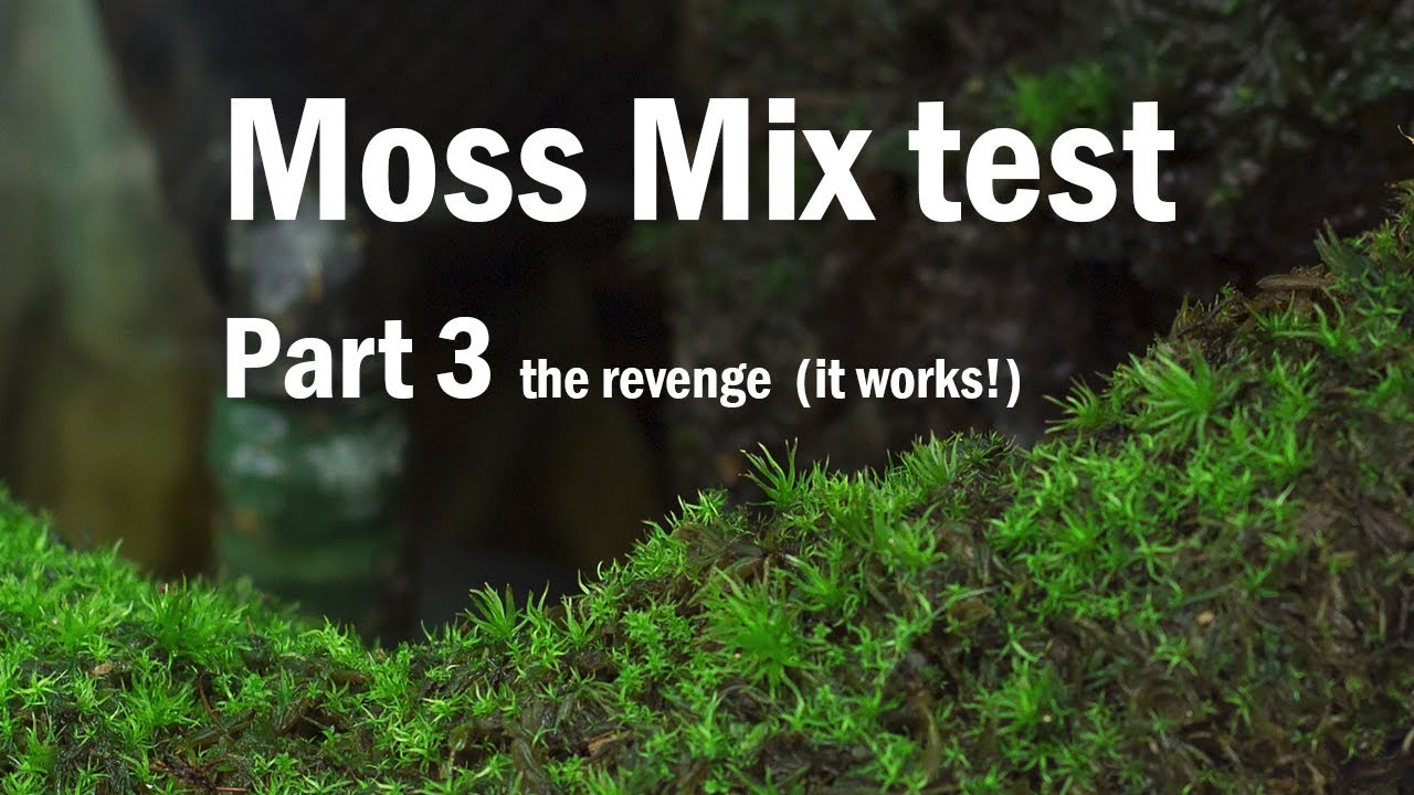 Тест Moss Mix, часть 3 — Работает!