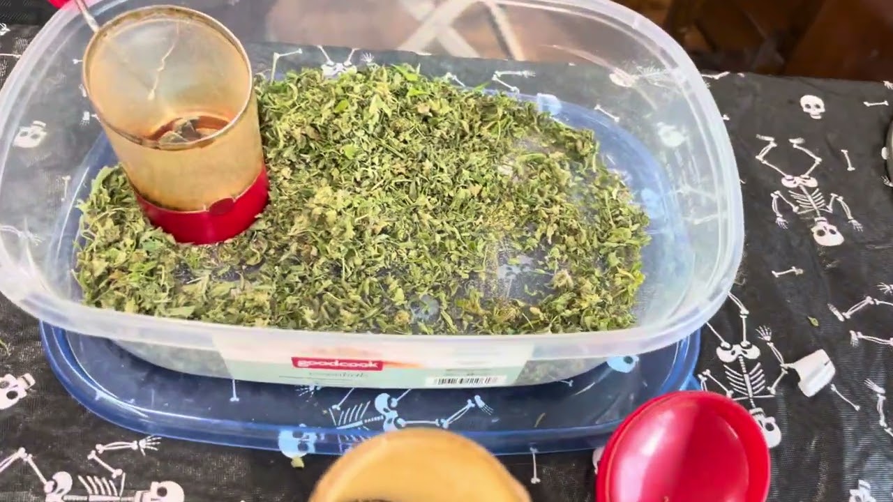 Athens ohio community home grow event