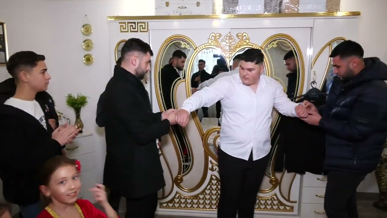 logodna memis